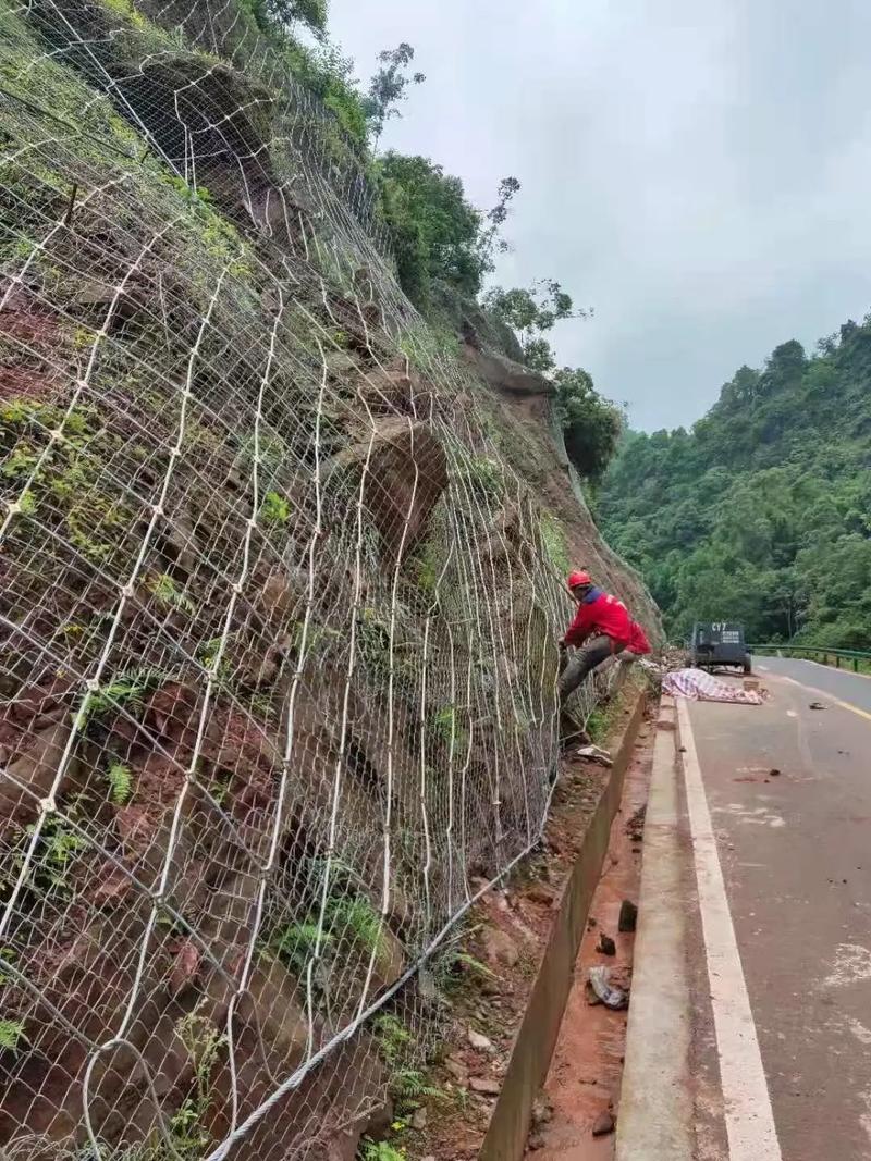 泰安泰山区边坡绿化防护